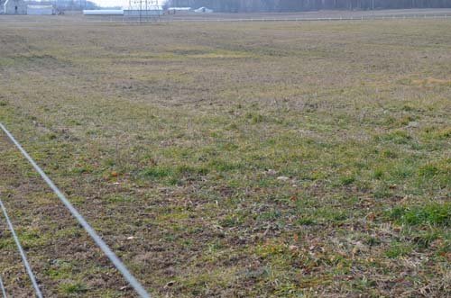 Property photo 47 - 98+/- Acres Offered in 6 Tracts or Combinations, Noble County, Indiana Farm